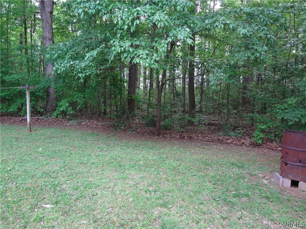 3198 Lowry Road Columbia, VA 23038 - Photo 13 of 19 a view of a backyard with a trees