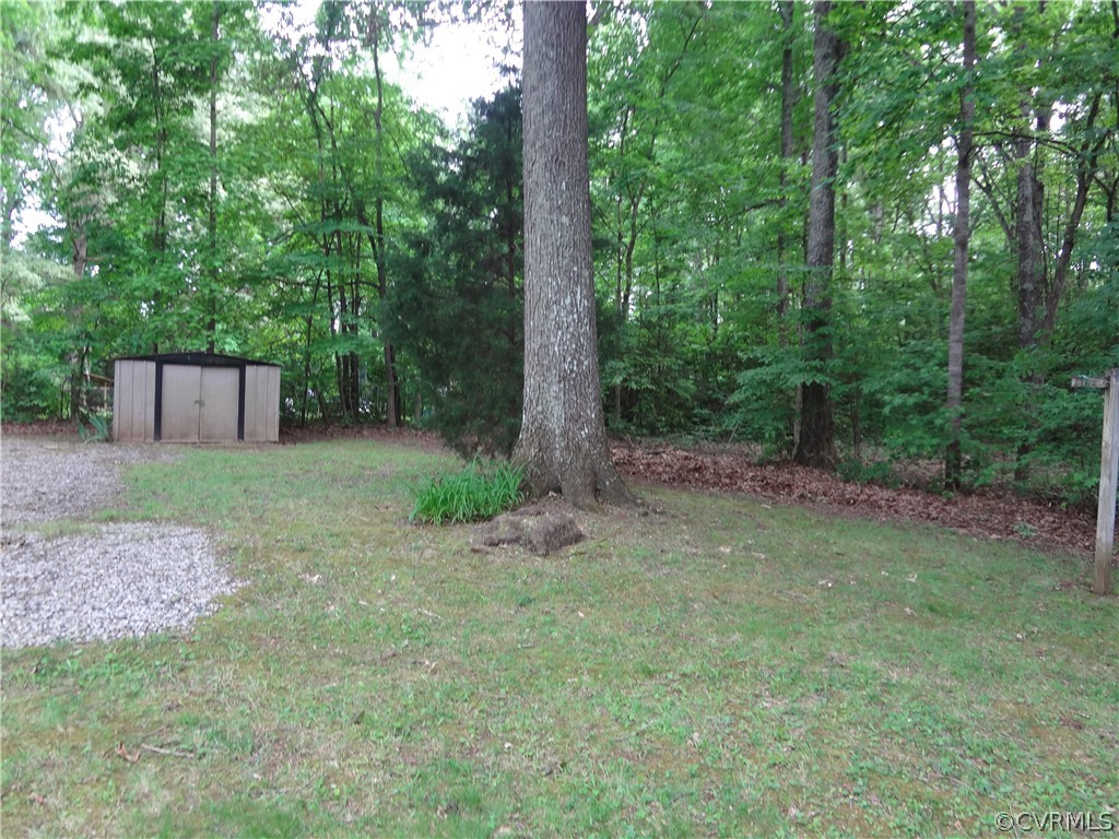 3198 Lowry Road Columbia, VA 23038 - Photo 14 of 19 a view of a backyard with large trees and plants
