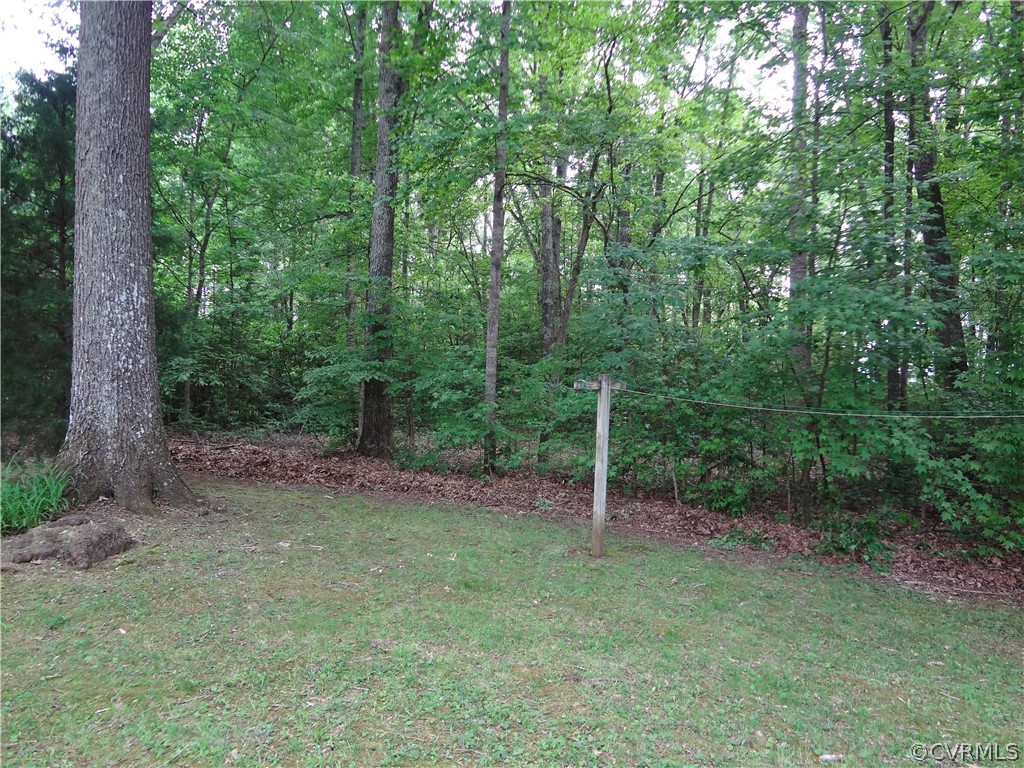 3198 Lowry Road Columbia, VA 23038 - Photo 15 of 19 a view of a forest with trees