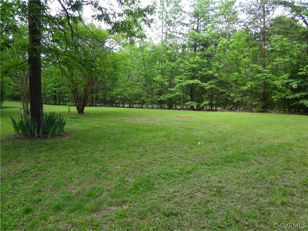 3198 Lowry Road Columbia, VA 23038 - Photo 9 of 19 a big yard with lots of green space and deers