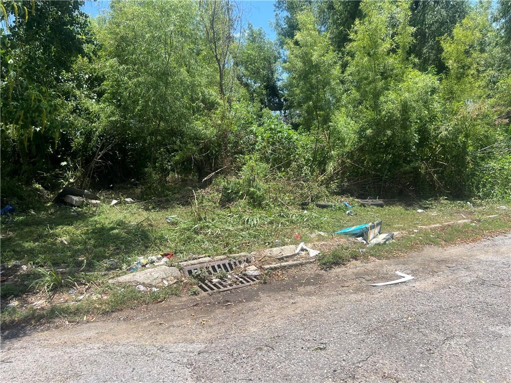 2408 Rex Place New Orleans, LA 70125 - Photo 2 of 2