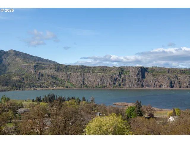 a view of city and lake