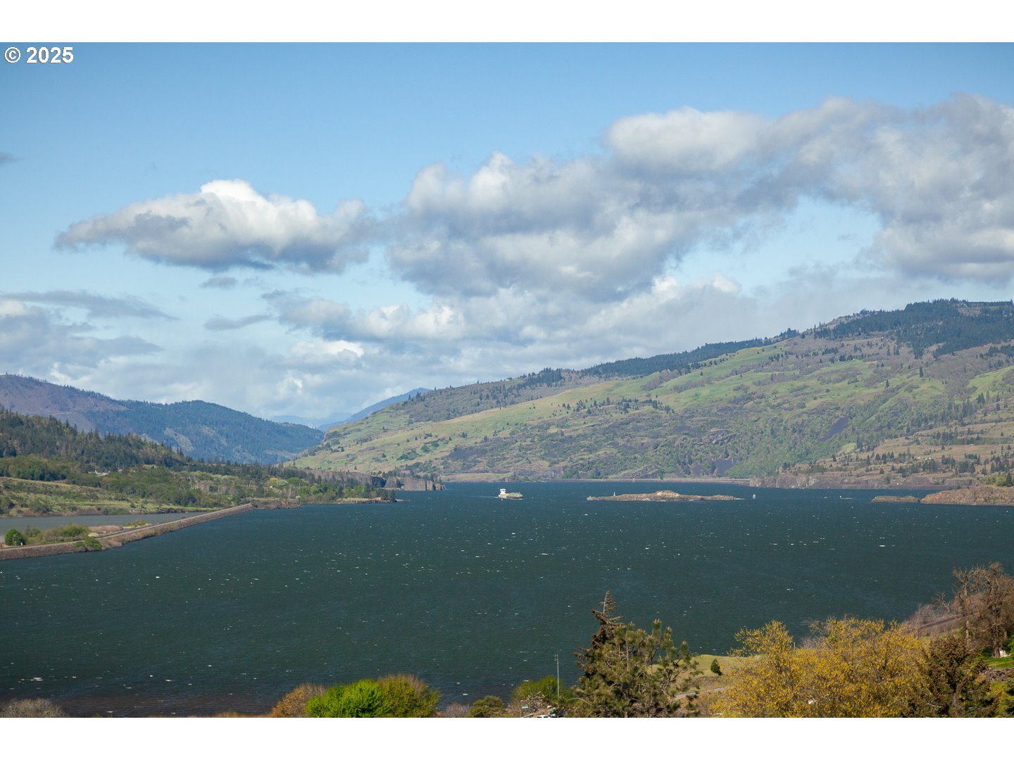 Columbia Drive Lyle, WA 98635 - Photo 15 of 22