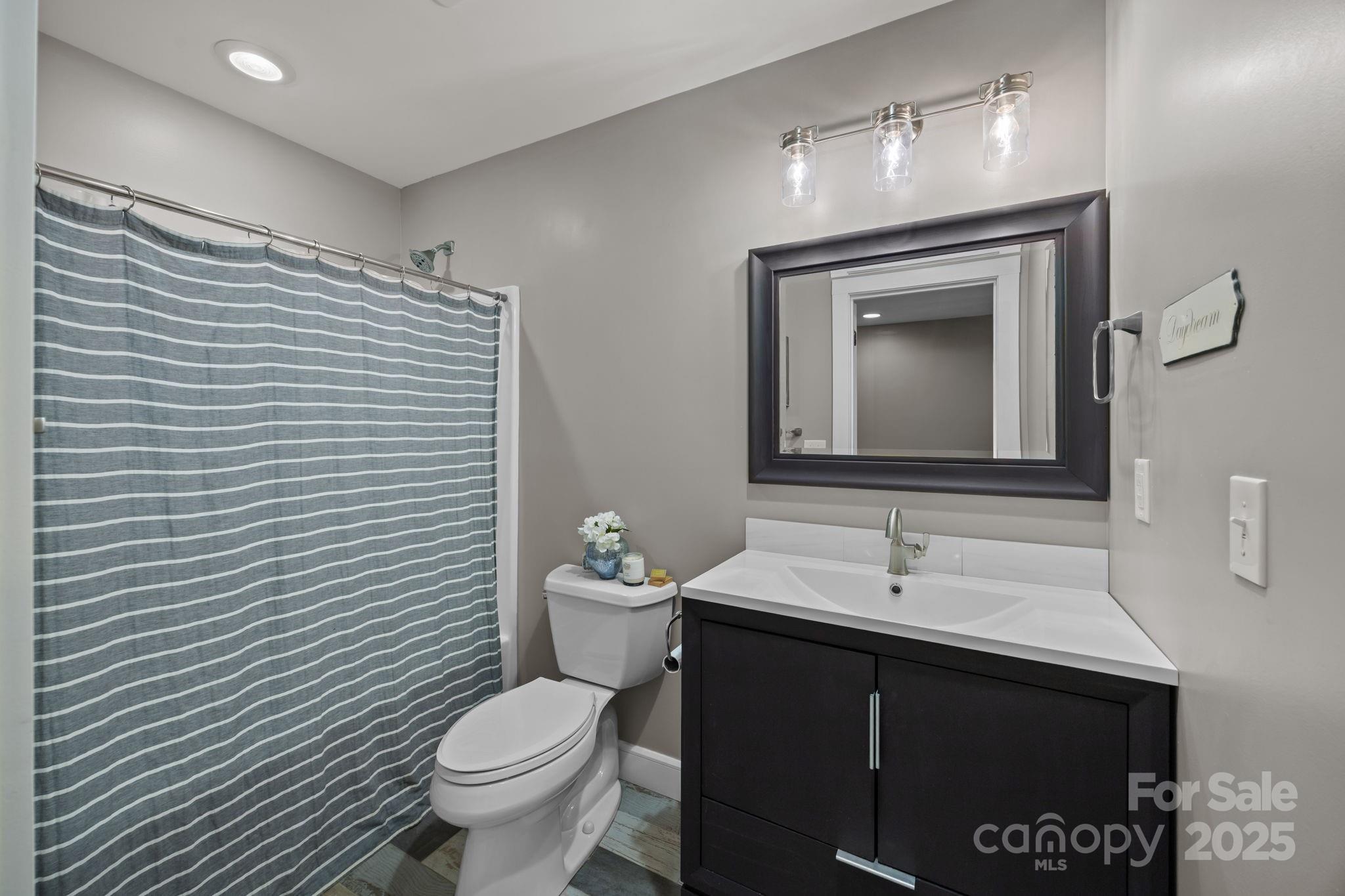 5321 Vesuvius Furnace Road Iron Station, NC 28080 - Photo 36 of 48 a bathroom with a toilet sink and mirror