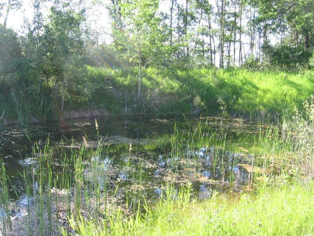 1421 North Briggs Road Twining, MI 48766 - Photo 5 of 28 1801891-4.JPG