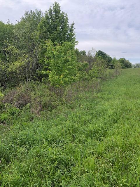 3 Hester Ridge Road Wallingford, KY 41093 - Photo 2 of 6 hr1