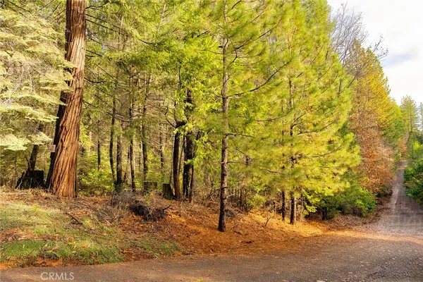 $50,000 | 10 Roz Lane, Cohasset, CA 95973