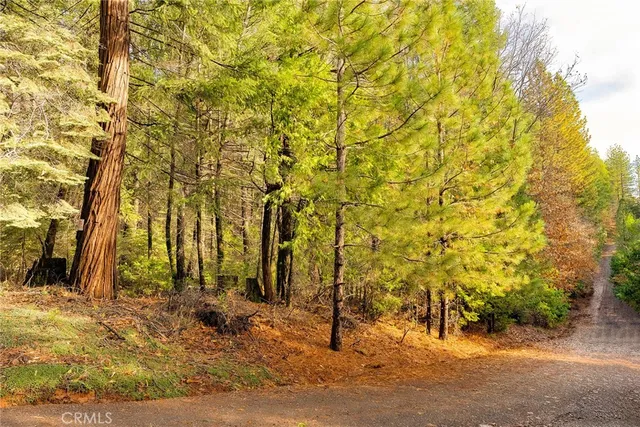 $50,000 | 10 Roz Lane, Cohasset, CA 95973