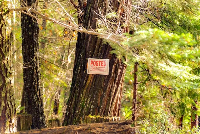 $50,000 | 10 Roz Lane, Cohasset, CA 95973