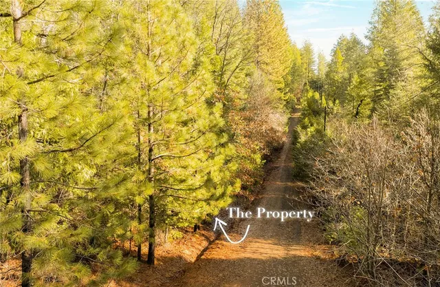 $50,000 | 10 Roz Lane, Cohasset, CA 95973