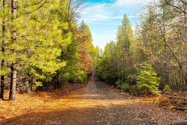 $50,000 | 10 Roz Lane, Cohasset, CA 95973