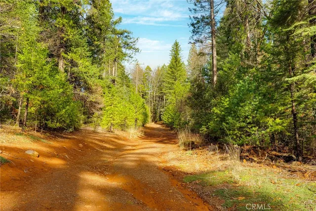 $50,000 | 10 Roz Lane, Cohasset, CA 95973