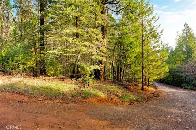 $50,000 | 10 Roz Lane, Cohasset, CA 95973