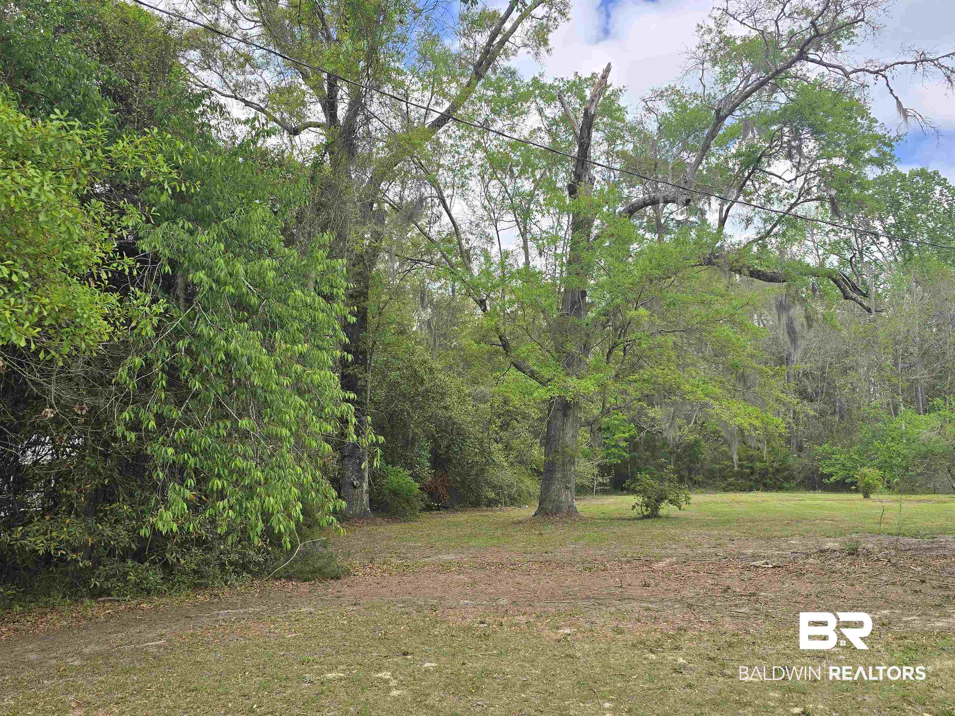 821 Dailey Street Brewton, AL 36426 - Photo 8 of 17 View of grassy yard