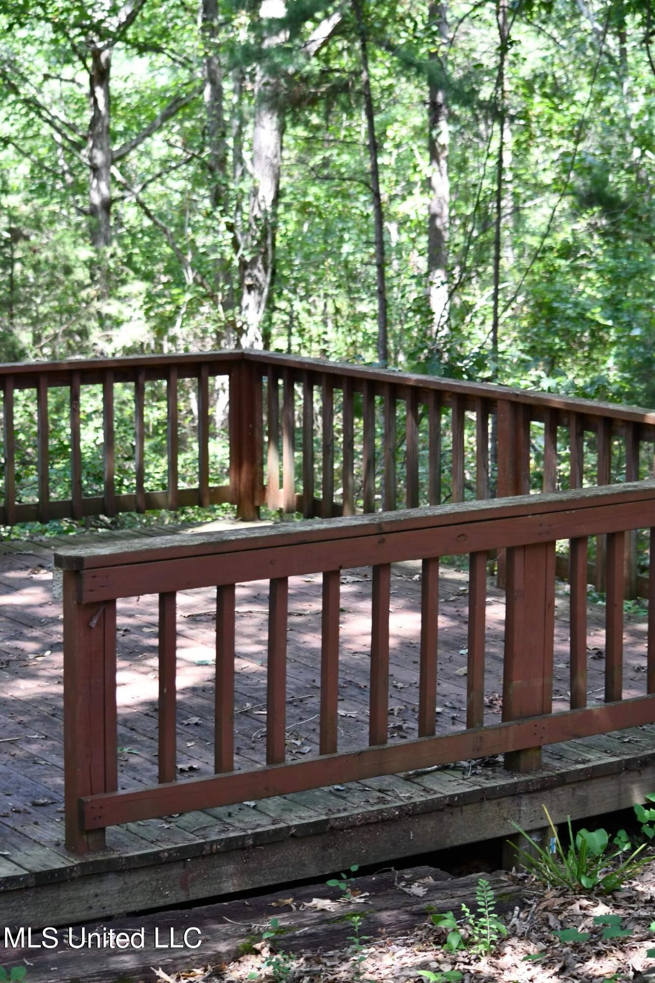 397 Tall Pines Road Ashland, MS 38603 - Photo 20 of 30 IMG-5380