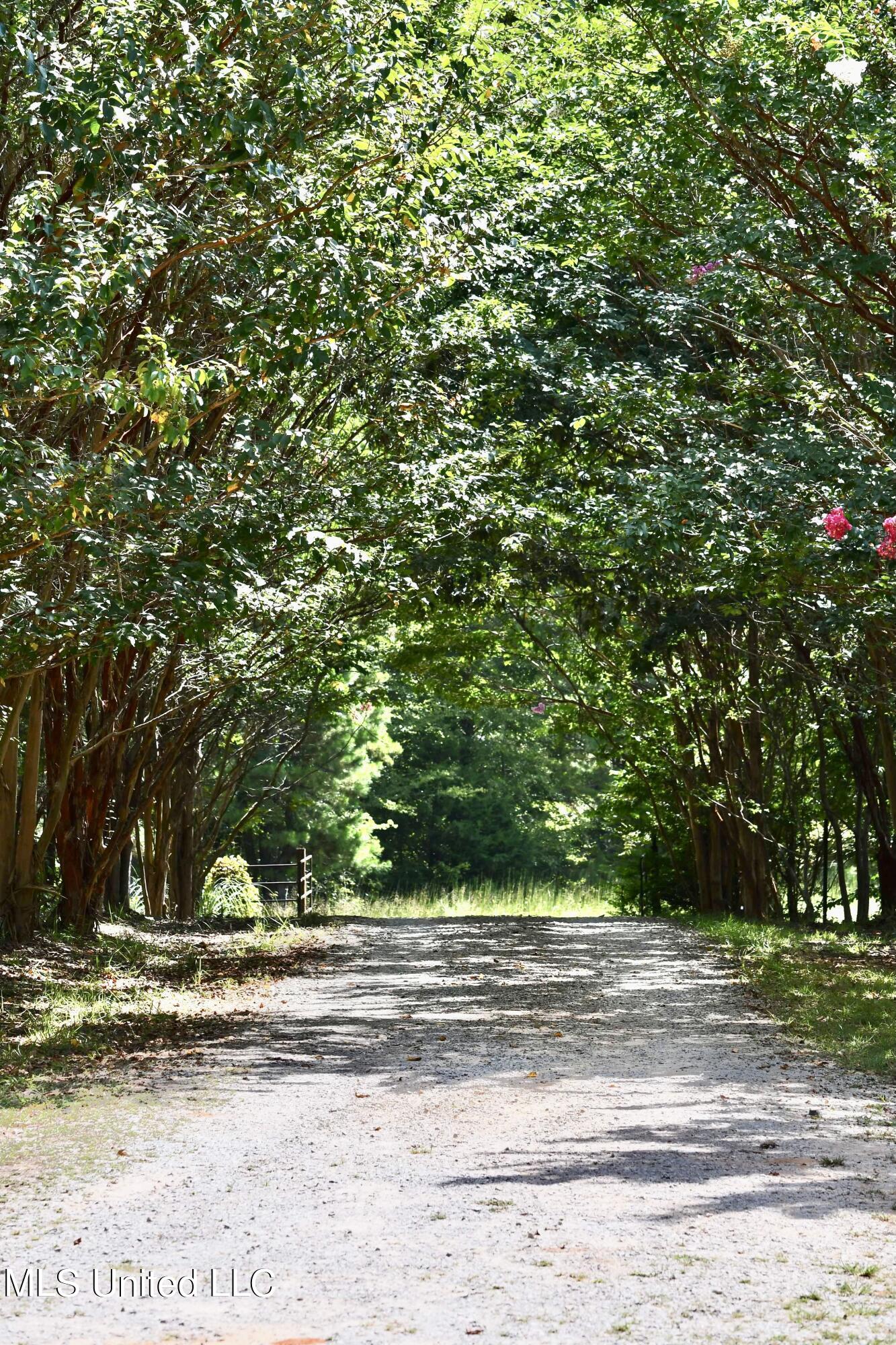 397 Tall Pines Road Ashland, MS 38603 - Photo 29 of 30 IMG-5375