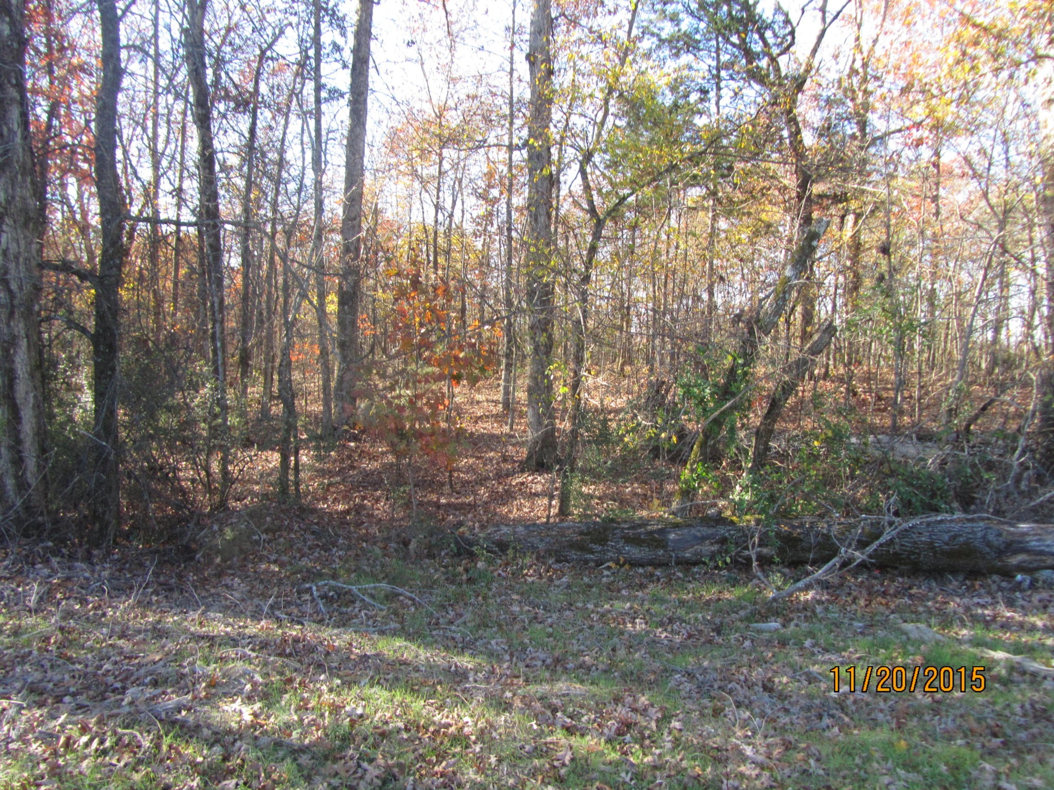 0 Raper Road Madisonville, TN 37354 - Photo 3 of 5
