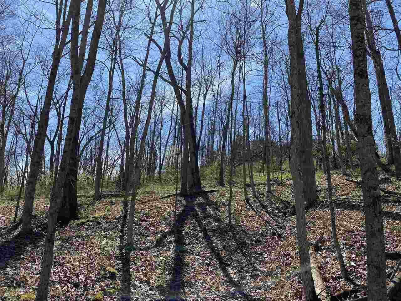 0 Mattox Road Brooksville, KY 41004 - Photo 12 of 22 Gallery Image 12