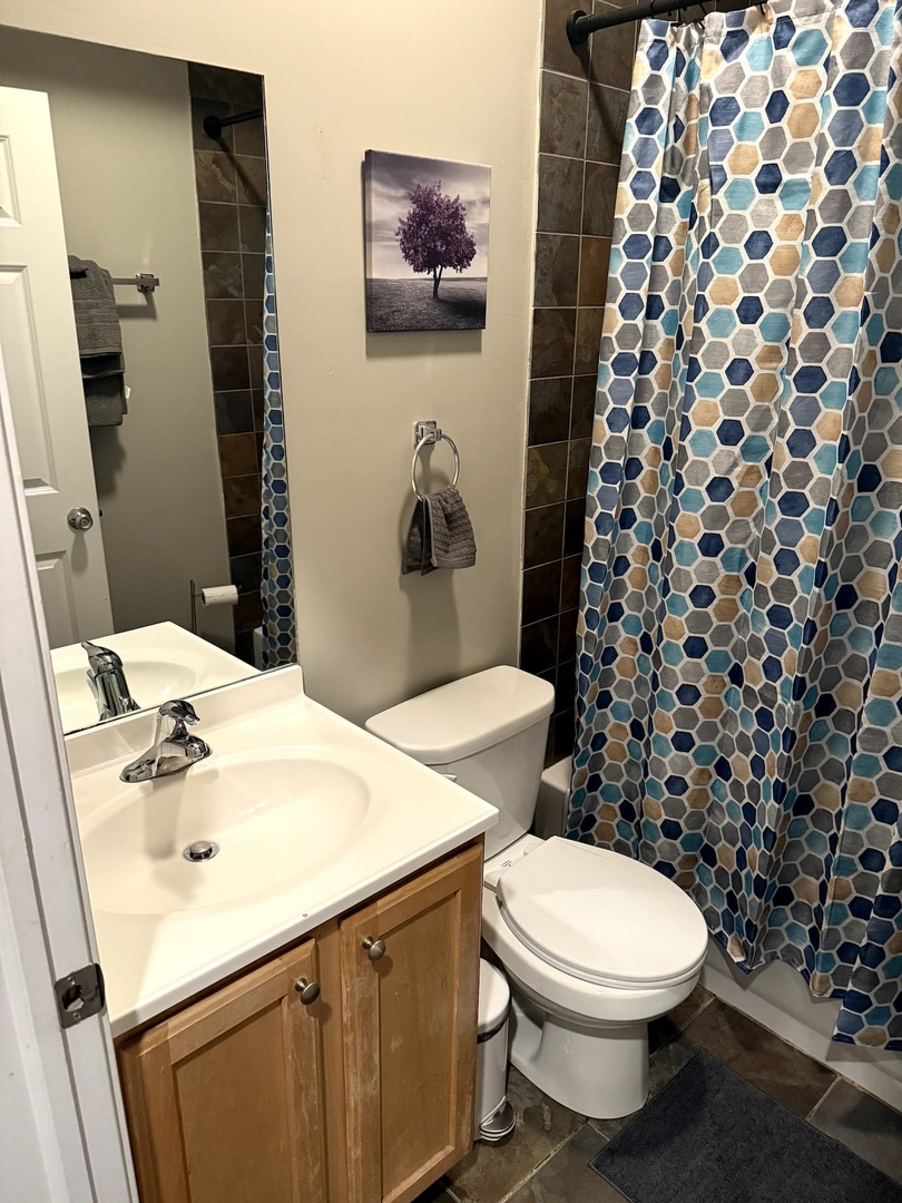 1730 West Beach Avenue, Unit 1 Chicago, IL 60622 - Photo 5 of 16 a white toilet sitting next to a bathroom sink