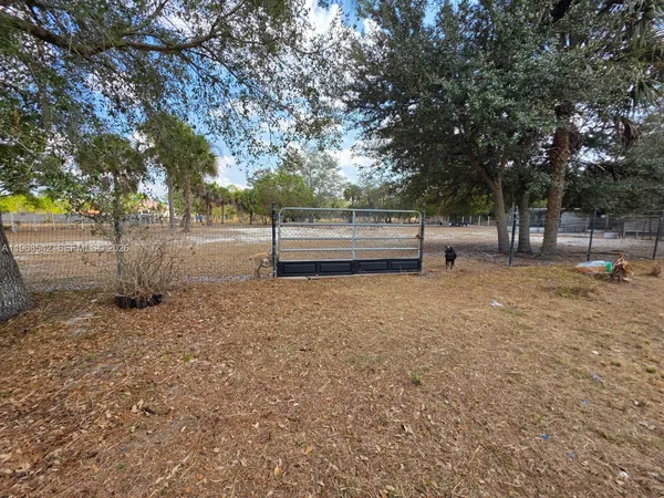 a view of backyard with green space