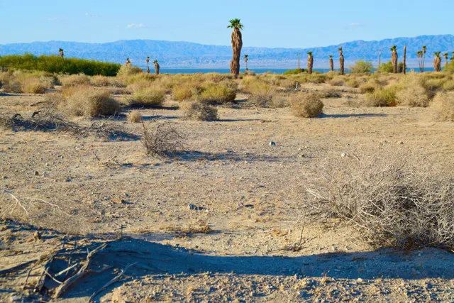 a view of ocean view with beach
