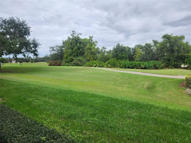 a view of a big yard with lawn chairs and large trees