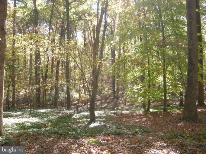 13101 Dover Road Reisterstown, MD 21136 - Photo 18 of 23 Beautiful wooded setting