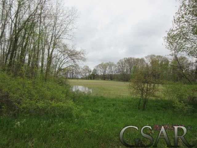 9815 East Prior Road Gaines, MI 48436 - Photo 20 of 22 Gallery Image 20