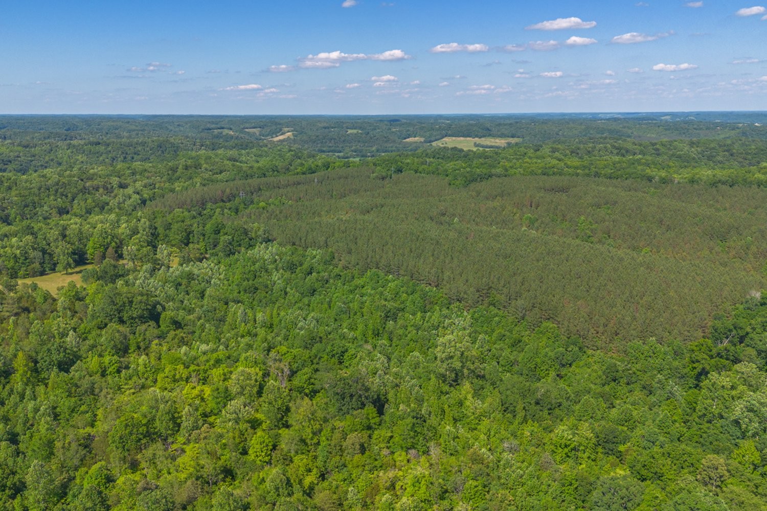 0 Chestnut Grove Lawrenceburg, TN 38464 - Photo 10 of 14 Gallery Image 10