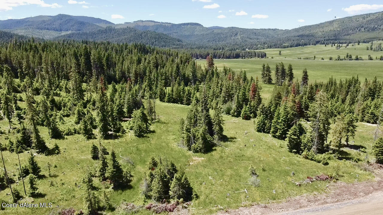 13 Green Valley Road Fernwood, ID 83830 - Photo 1 of 1 2022-06-24-13-33-48-813