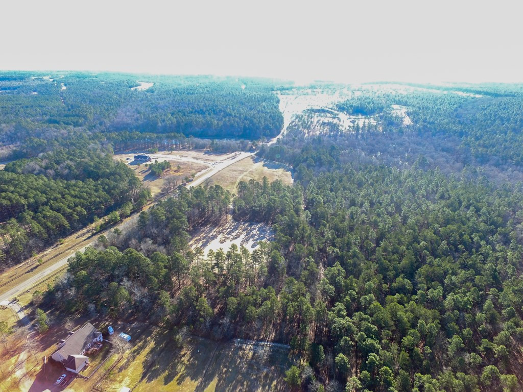 Lot 25-26 Anderson Pond Road Johnston, SC 29832 - Photo 7 of 11