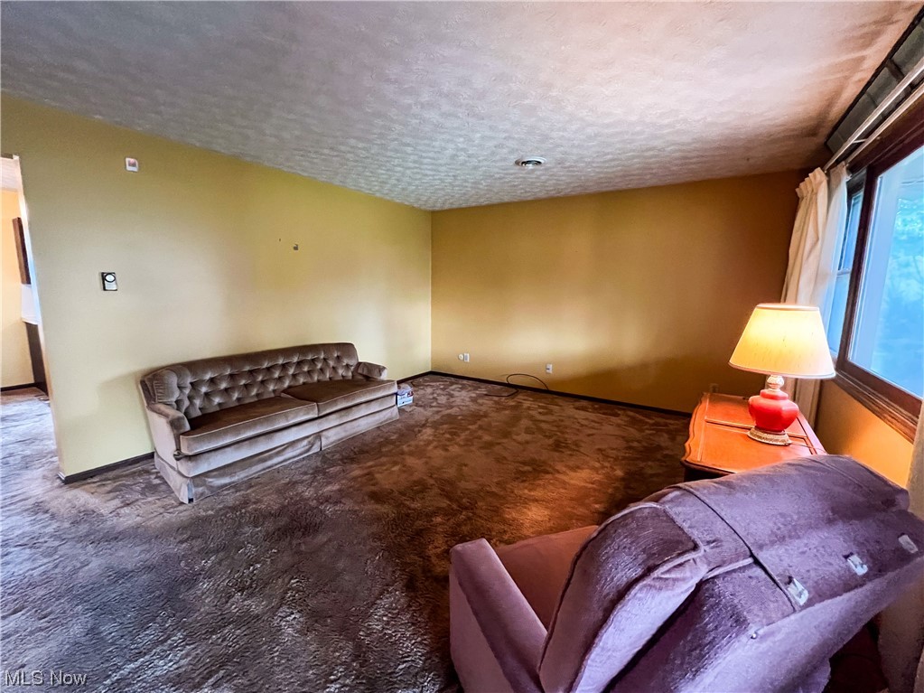 1431 May Road Mogadore, OH 44260 - Photo 4 of 22 Carpeted living room featuring a textured ceiling
