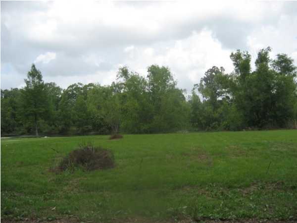 541 Smith-Reed Road Lafayette, LA 70507 - Photo 4 of 5 Additional Photo