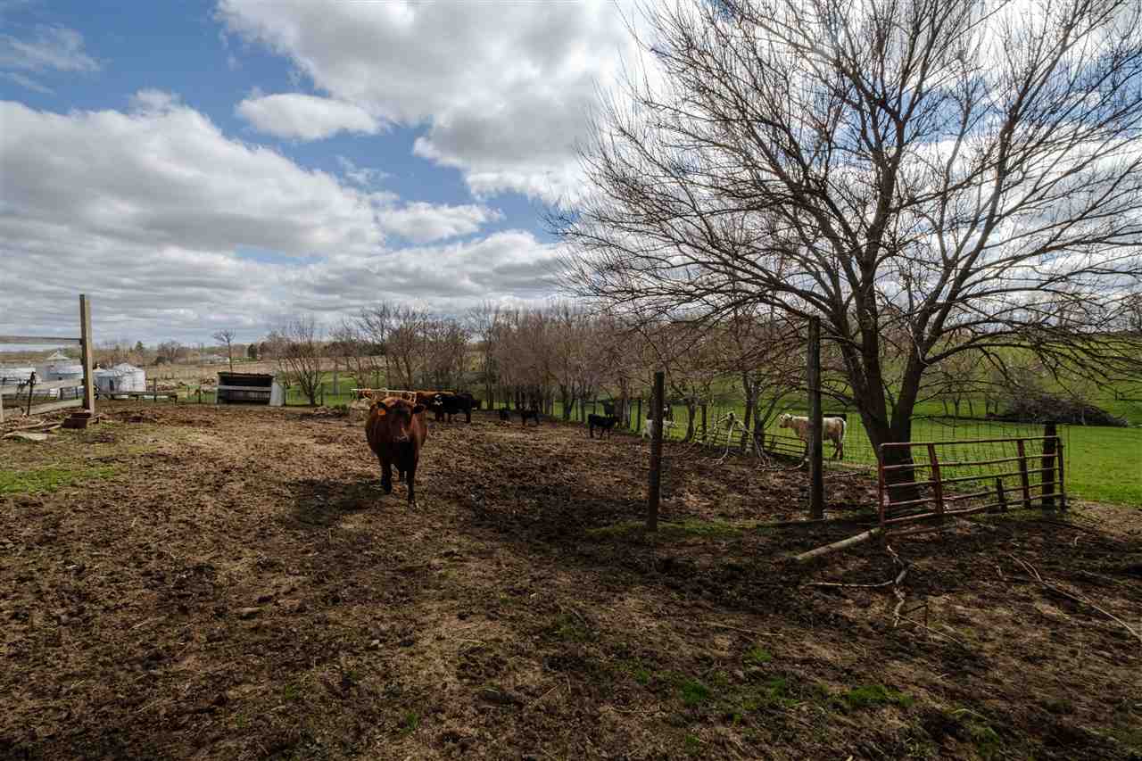 9446 North Adeline Road Leaf River, IL 61047 - Photo 70 of 76 Gallery Image 70