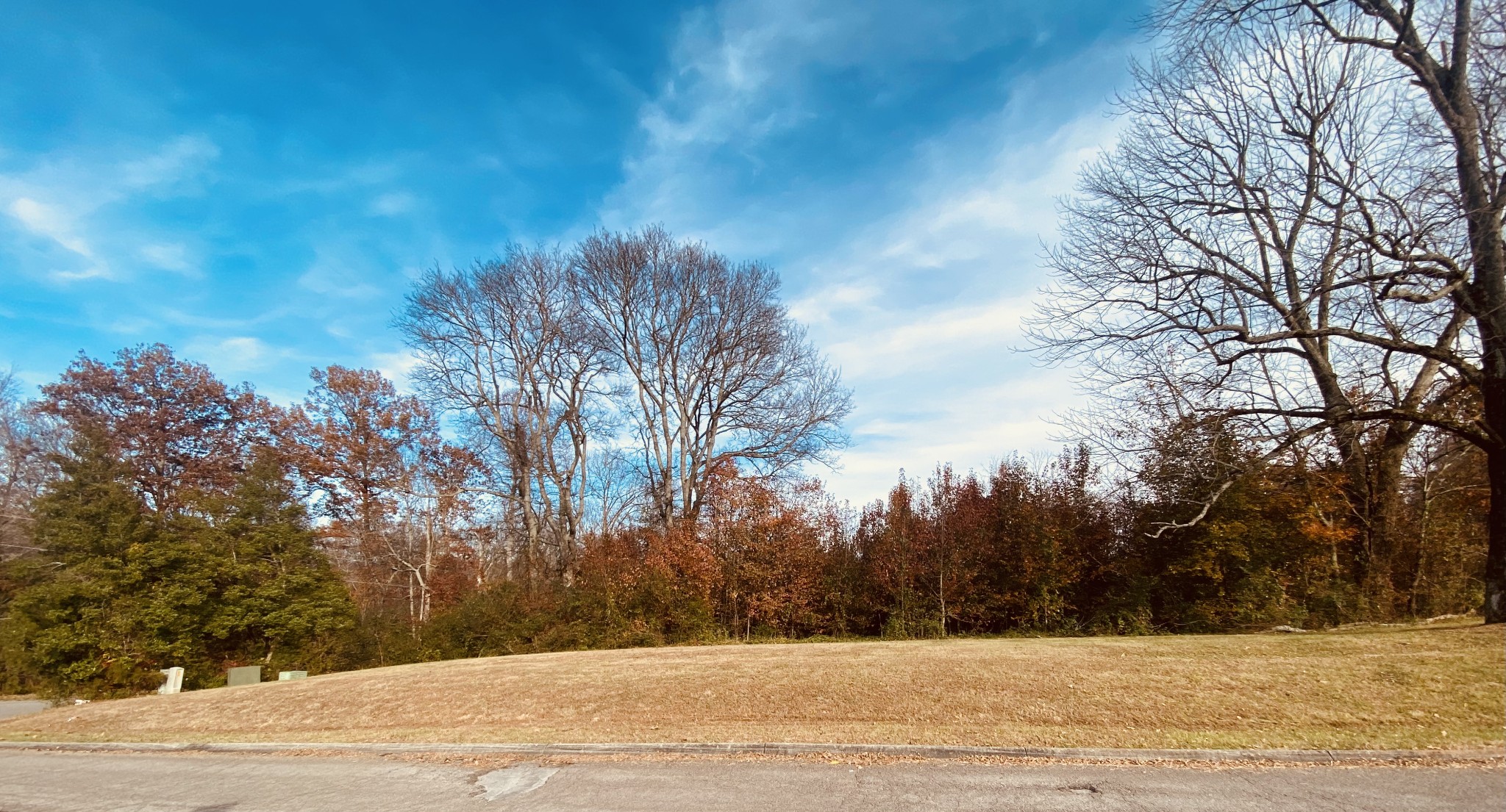 0 Faith-Rae Boulevard Morrison, TN 37357 - Photo 2 of 4 a view of road and trees
