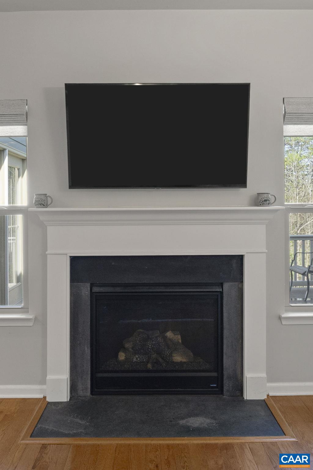 1377 Delphi Lane Charlottesville, VA 22911 - Photo 9 of 48 a living room with a fireplace and a flat screen tv