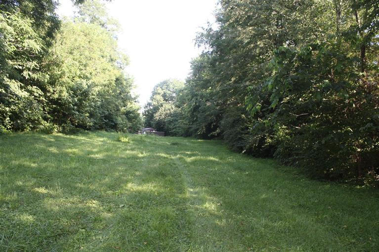 167 White Oak Road Stamping Ground, KY 40379 - Photo 10 of 16 Photo 10