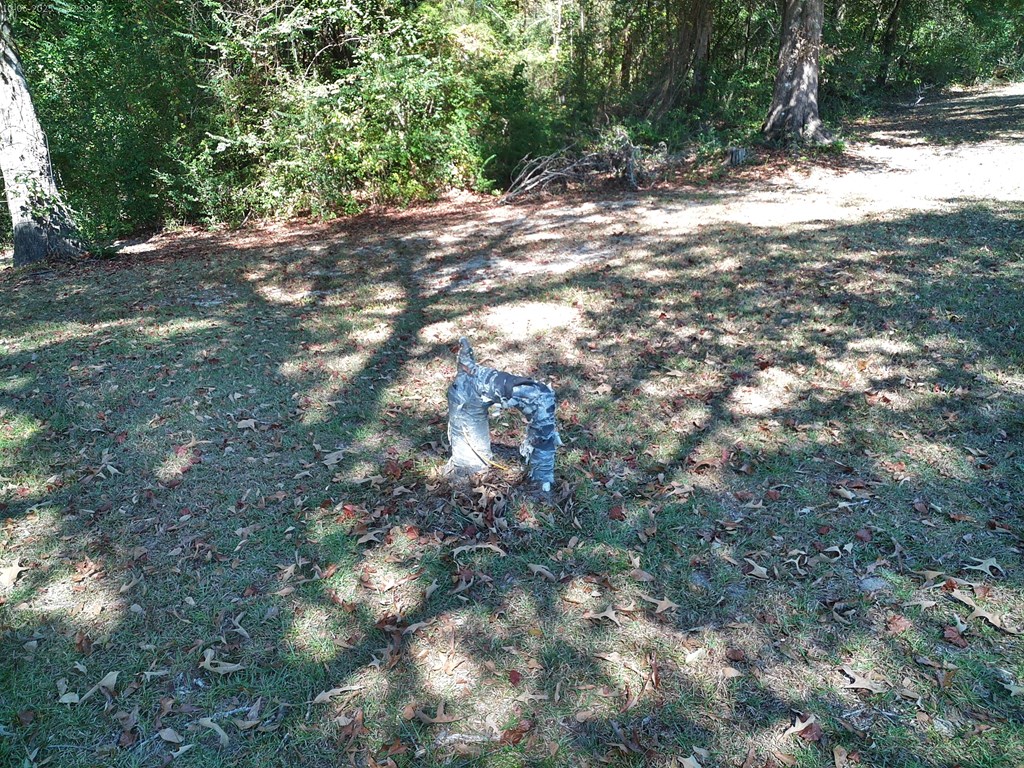 12543 Harrelson Loop Andalusia, AL 36420 - Photo 52 of 52 Well