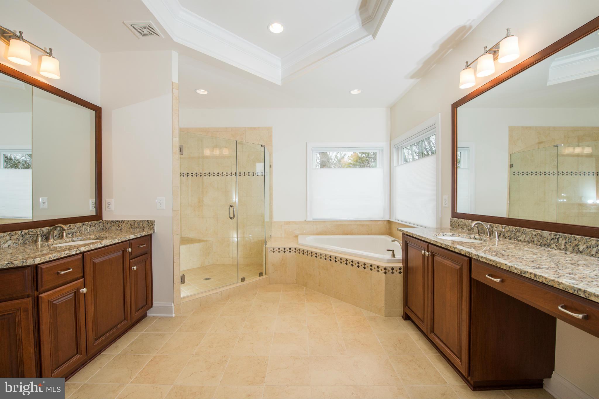 10002 Courthouse Road Vienna, VA 22181 - Photo 25 of 27 Bath (Master)