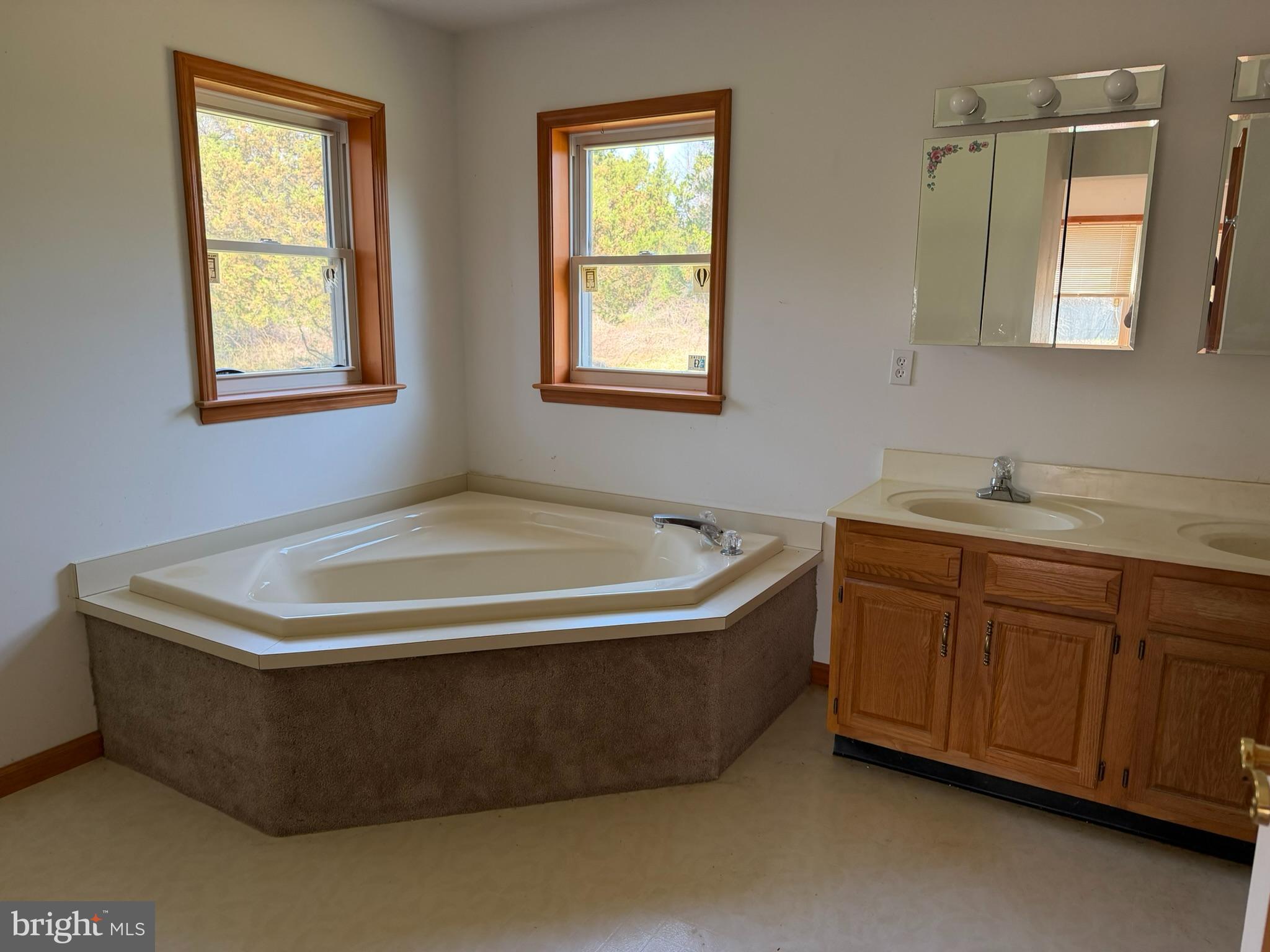 261 Andrews Lake Road Felton, DE 19943 - Photo 20 of 21 a bathroom with a tub sink and mirror