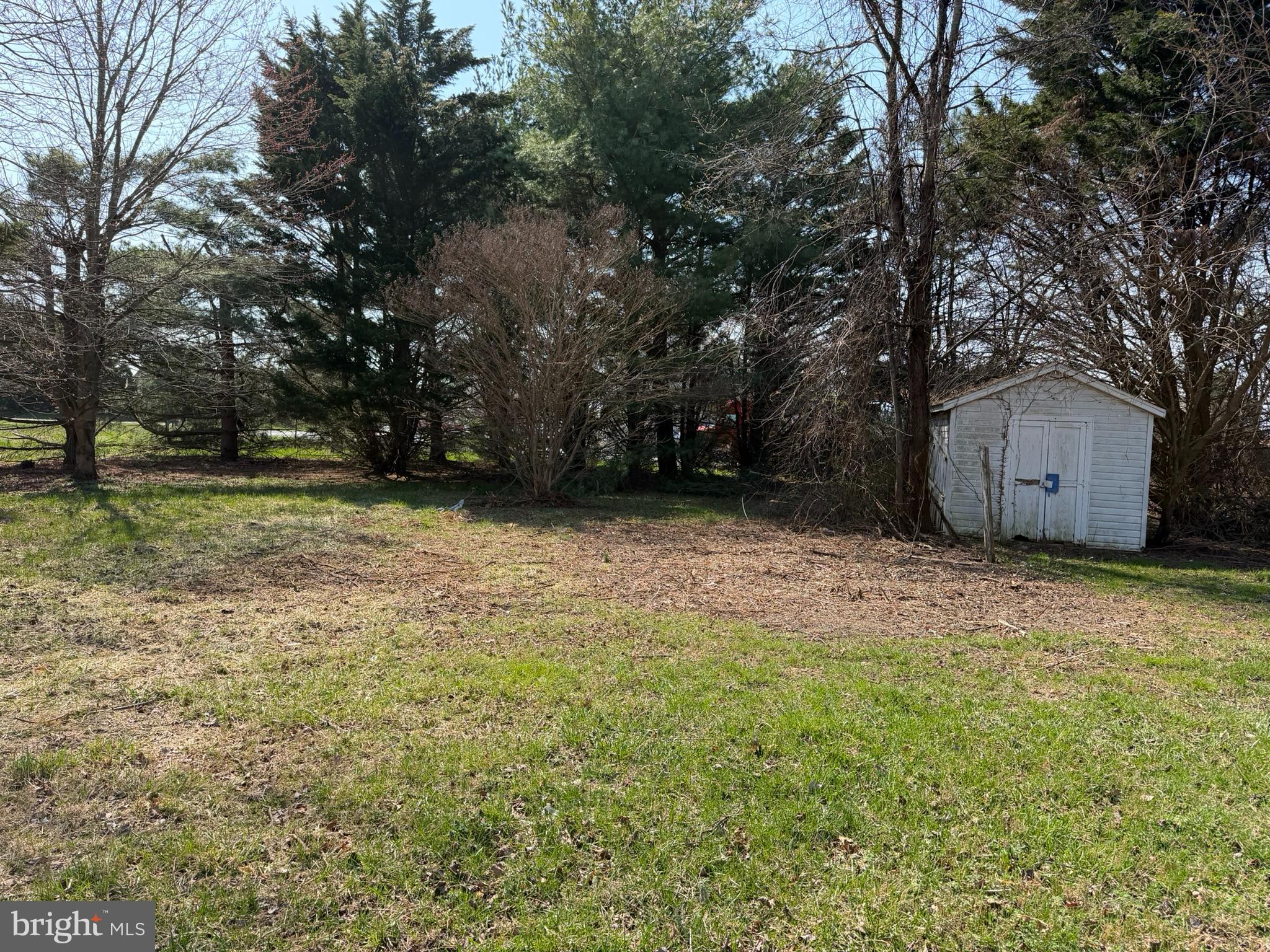 261 Andrews Lake Road Felton, DE 19943 - Photo 5 of 21 a backyard of a house with a trees