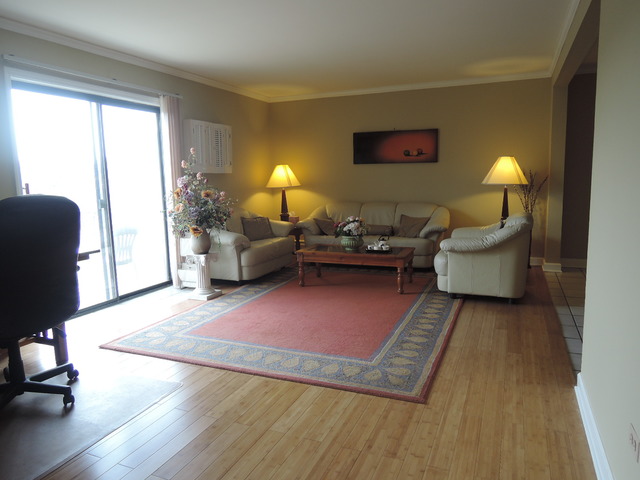124 East Bailey Road, Unit L Naperville, IL 60565 - Photo 2 of 19 a living room with furniture and a fireplace