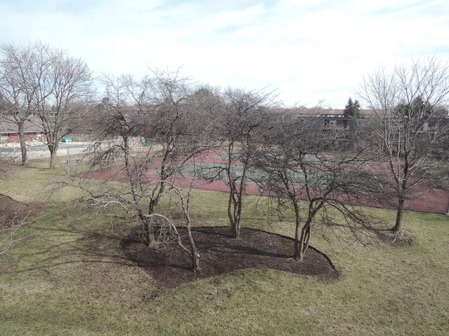 124 East Bailey Road, Unit L Naperville, IL 60565 - Photo 16 of 19 a view of a forest filled with trees