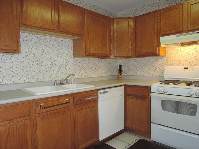 124 East Bailey Road, Unit L Naperville, IL 60565 - Photo 5 of 19 a kitchen with a sink cabinets and stainless steel appliances