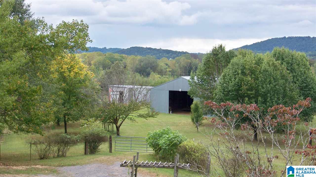 455 Bristow Creek Road Altoona, AL 35952 - Photo 1 of 21