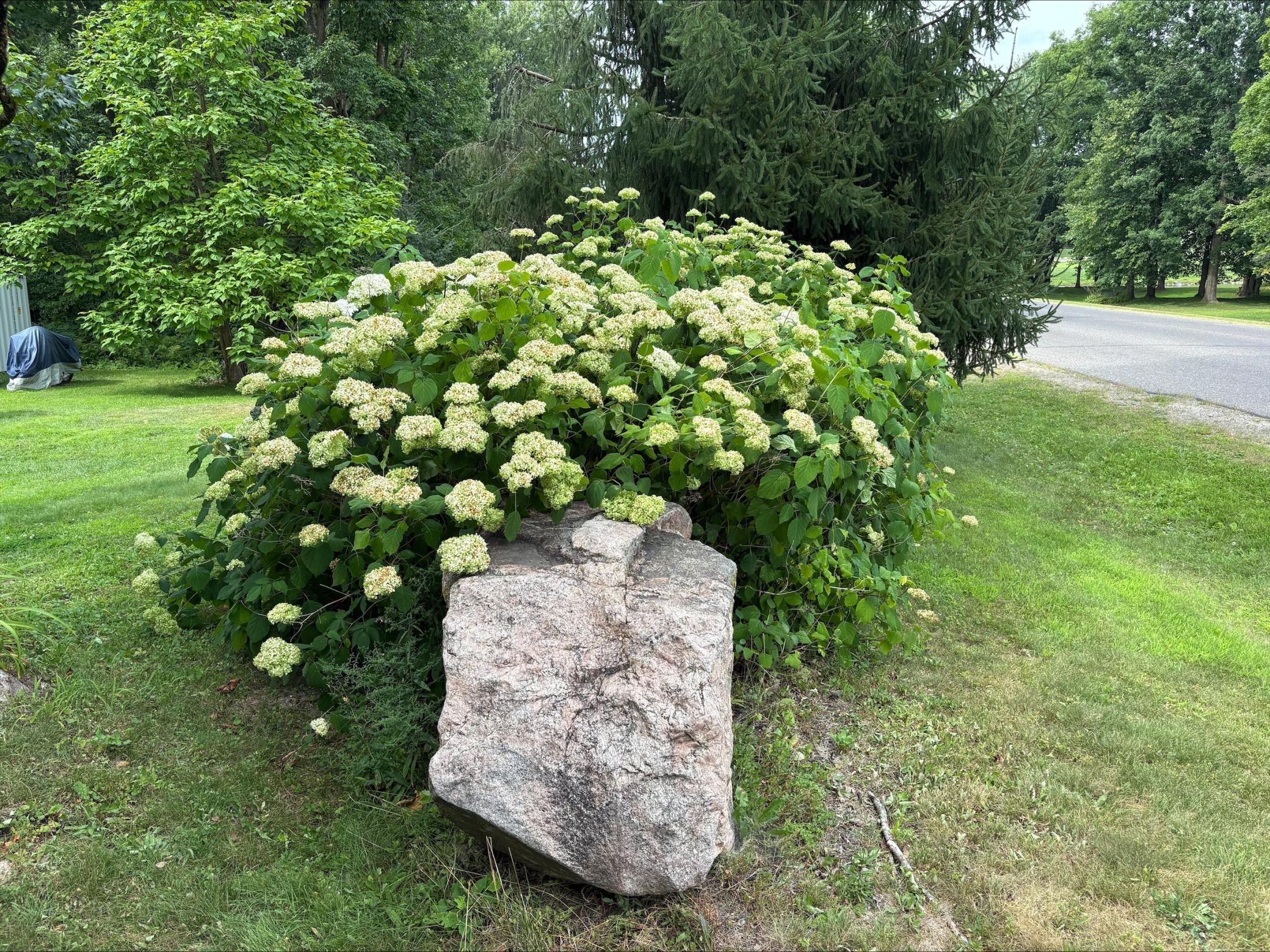 N8795 Bridge Drive Sheldon, WI 54766 - Photo 5 of 9