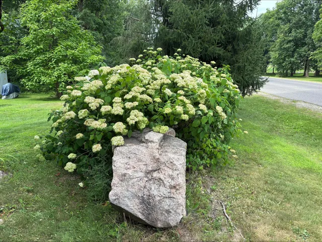 $99,000 | N8795 Bridge Drive, Sheldon, WI 54766