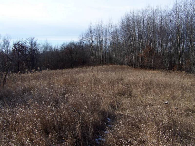 Wapp Hill Rd mls