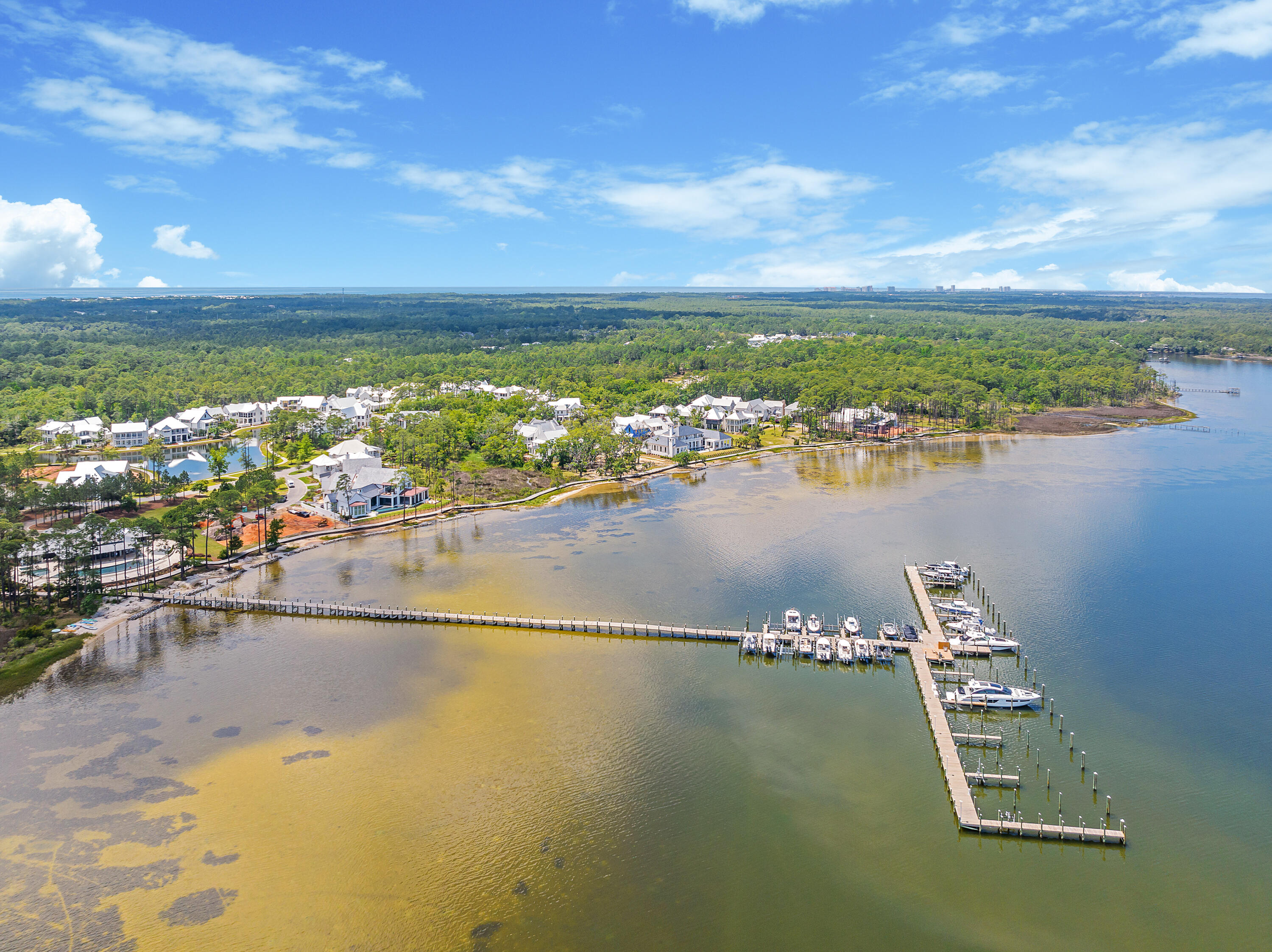 83 Tyler Drive Santa Rosa Beach, FL 32459 - Photo 53 of 68 dune-lake-studios-100