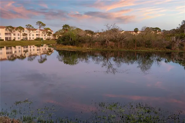 a view of a lake in middle of forest